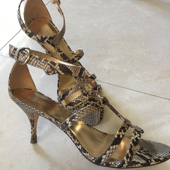 Coach. Real python detailing - Picture 2 of 3